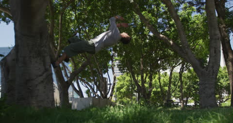 Man Performing Parkour Stunts on Tree in Urban Park