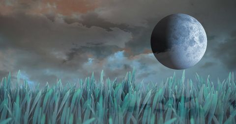 Serene Landscapes with Sky, Moon, and Grass - Download Free Stock Images Pikwizard.com