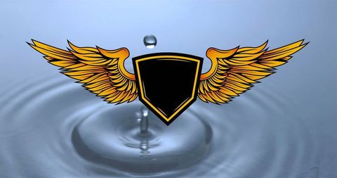 Gold Winged Shield Over Water Splash - Download Free Stock Images Pikwizard.com