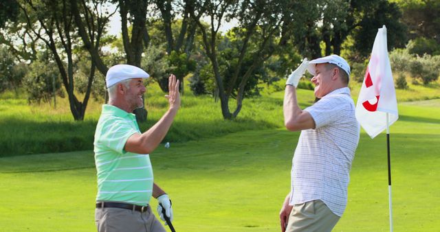 Senior Male Golfers Celebrating Successful Shot on Green Grass Golf Course - Download Free Stock Images Pikwizard.com