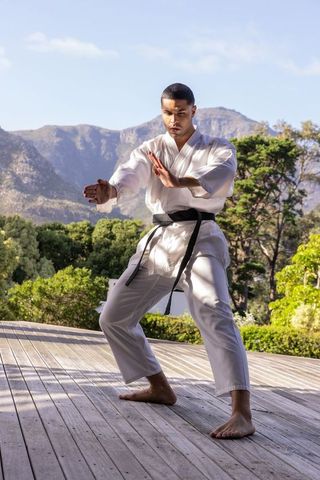 Karate practitioner kata position mountain background