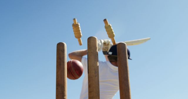 Cricket Player Bowled Out with Flying Bails under Clear Sky - Download Free Stock Images Pikwizard.com