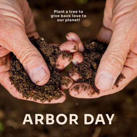 celebrating arbor day with hands holding soil for tree planting - Download Free Stock Templates Pikwizard.com
