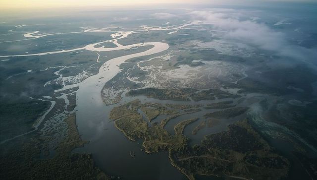 Aerial meandering estuary revealing braided tidal channels and marsh islands at sunrise