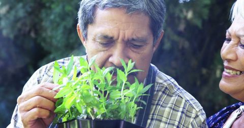 Latino Man and Senior Woman in Garden Enjoying Plants Together - Download Free Stock Images Pikwizard.com
