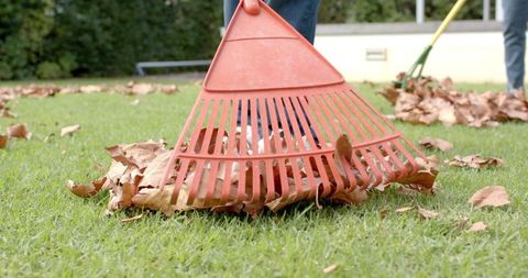 Raking autumn leaves in garden, slow motion family activity