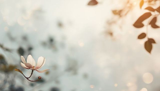 White magnolia blossom on slim branch with soft bokeh, sunlit leaves and copy space