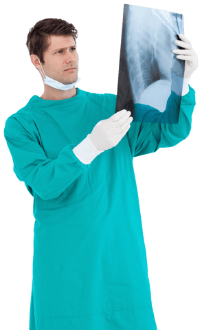 doctor analyzing x-ray with transparent background - Download Free Stock Videos Pikwizard.com