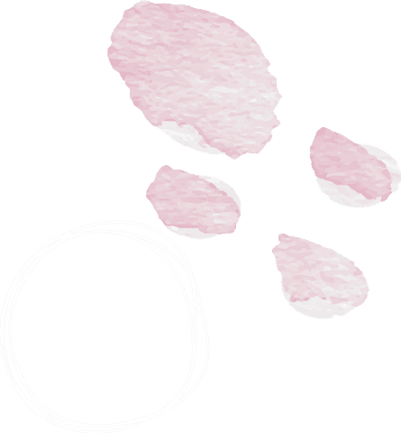 abstract transparent watercolor petals with scribble circle art - Download Free Stock Videos Pikwizard.com