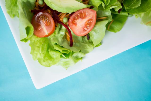 Close-up of fresh salad on plate