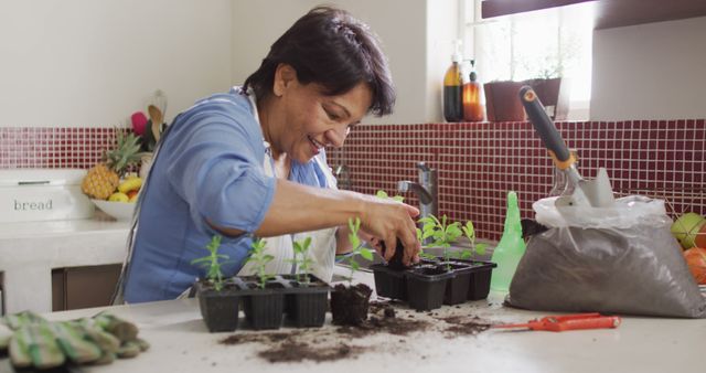 Asian senior woman transplanting plant samplings in the kitchen at home. home garden and retirement lifestyle concept