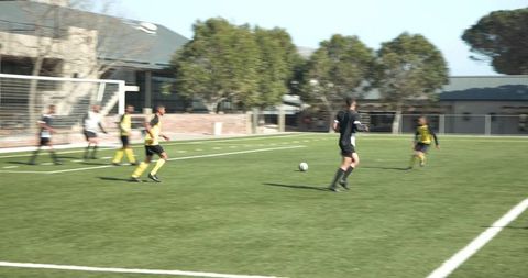 Soccer Team Dynamics On Training Field During Active Practice