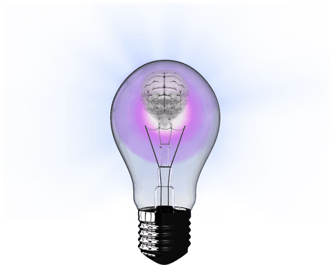 transparent lightbulb with brain inside illustrating innovation concept - Download Free Stock Videos Pikwizard.com