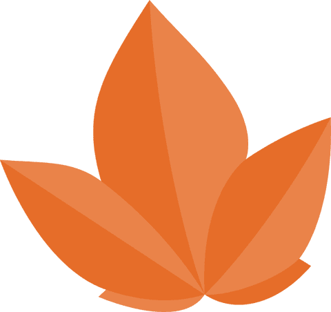 Abstract vibrant orange petals transparent background design
