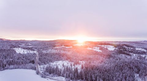Stunning sunset over snow-covered woodland in winter landscape