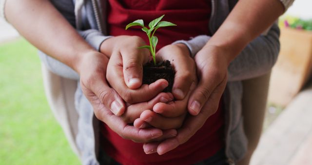 Depicts an adult and child's hands holding young plant. Represents care, growth, and nurturing. Ideal for topics on environmental conservation, family bonding, gardening, and education about nature.