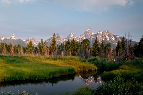 Serene Mountain Landscape with Lush Green Forest