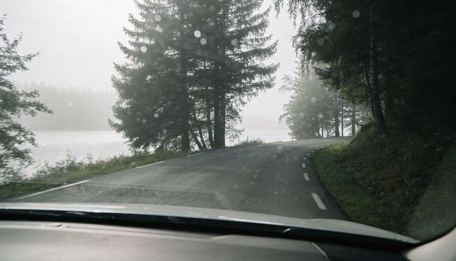 Misty lakeside road curving through evergreen forest viewed from inside car windshield