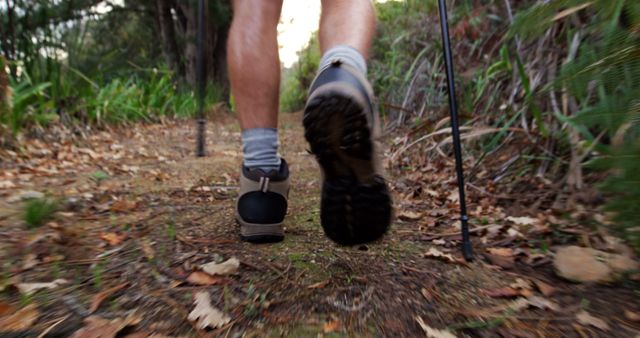 Hiker Walking Along Forest Path with Trekking Poles - Download Free Stock Images Pikwizard.com