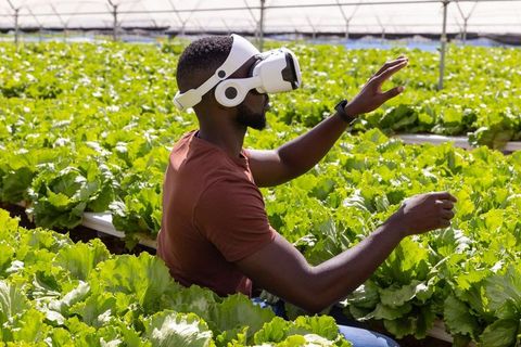 African american man using vr headset in hydroponic greenhouse