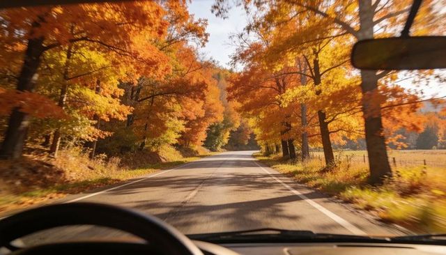 Driving through golden autumn trees on winding two-lane road from driver pov, sunlit