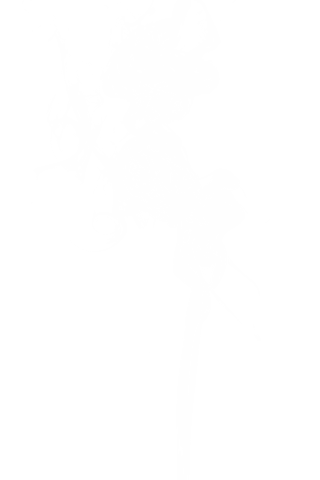 Intricate smoke trail on transparent background