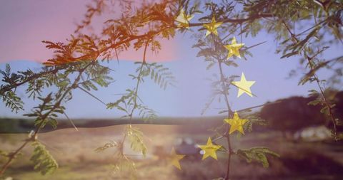 Nature and European Symbolism in Serene Rural Landscape