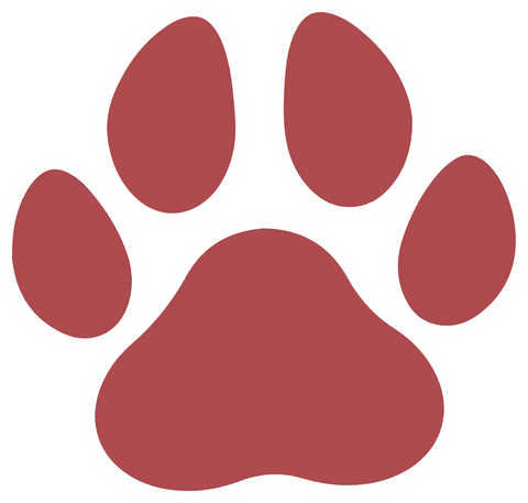 red animal paw print icon on transparent background - Download Free Stock Videos Pikwizard.com
