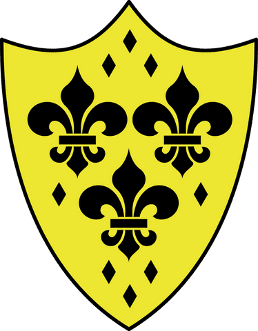 medieval heraldic shield with black fleur-de-lis on transparent background - Download Free Stock Videos Pikwizard.com