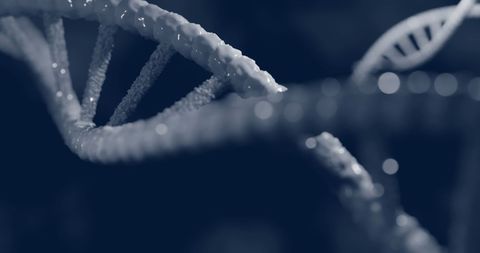 Abstract DNA Strand Close-Up on Black Background - Download Free Stock Images Pikwizard.com