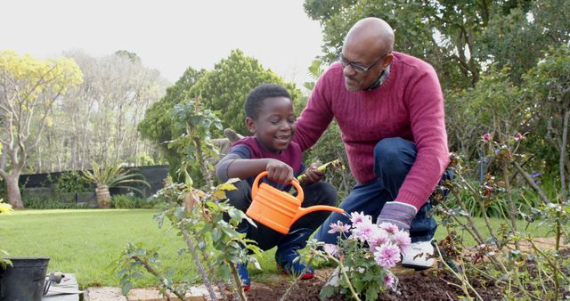 Grandfather And Grandson Gardening Together In Sunny Backyard - Download Free Stock Images Pikwizard.com