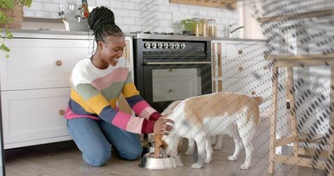 Young woman kneeling petting dog while feeding in colorful cozy kitchen