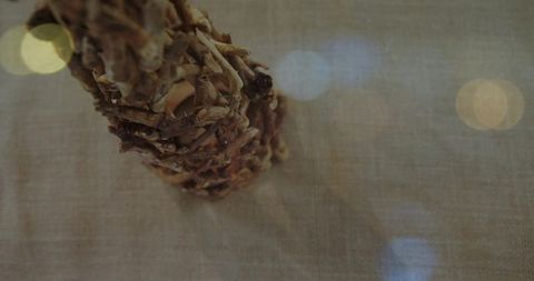 Resting dried botanical cone on neutral linen with soft bokeh close-up flatlay textured