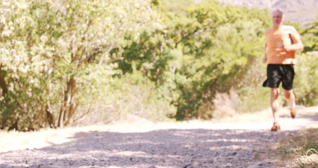 Elderly Man Running on Forest Trail on Sunny Day - Download Free Stock Images Pikwizard.com