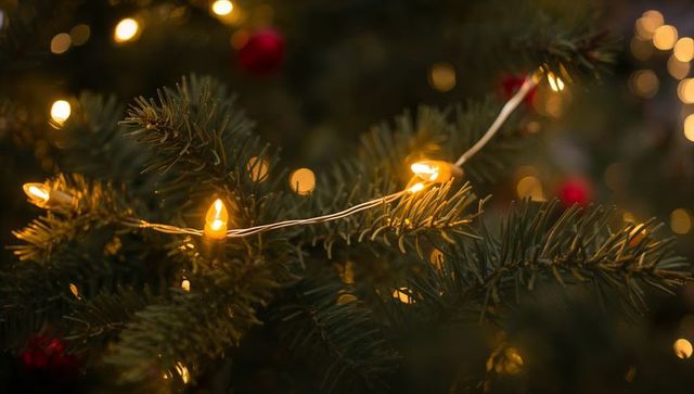Warm led christmas lights glowing on evergreen branch with soft bokeh and red baubles