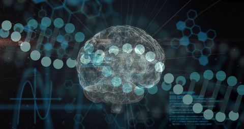 Digital Interfaces Merging Brain, Data, and DNA Strands Si-Fi Concept - Download Free Stock Images Pikwizard.com