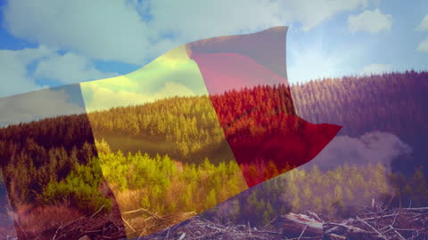 Belgium Flag Waving Across Serene Forest Landscape