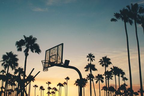 Basketball Hoop Silhouette Against a Sunset and Palm Trees