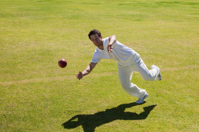Cricket Player Catching Ball on Field During Sunny Day - Download Free Stock Photos Pikwizard.com