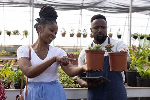 African american woman pointing at succulent while nursery staff holding potted succulents