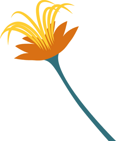 transparent orange flower illustration with teal stem - Download Free Stock Videos Pikwizard.com