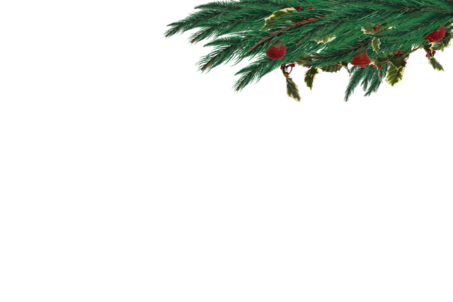 Transparent festive fir branch with ornaments and baubles - Download Free Stock Videos Pikwizard.com