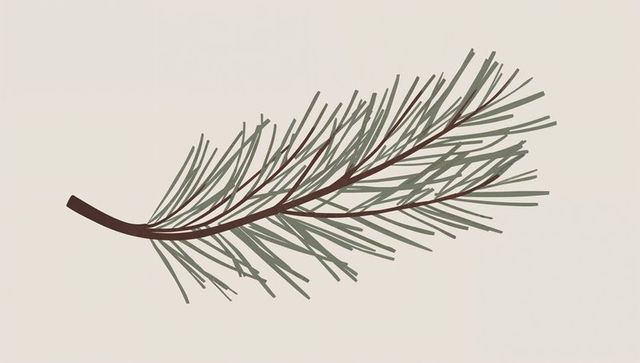 Minimalist conifer twig illustration on neutral beige background for seasonal design and branding