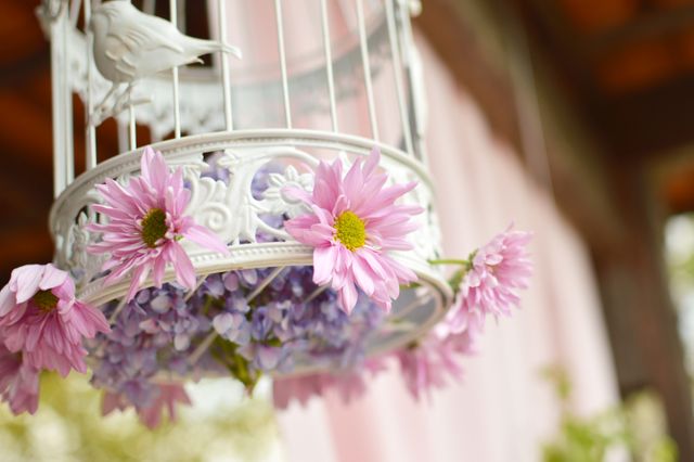 Beautiful Floral Arrangement in White Bird Cage Hanging Outdoors - Download Free Stock Photos Pikwizard.com
