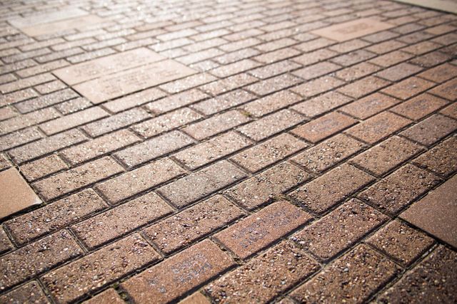 High-resolution shot of red brick paver pathway, showing a detailed textured surface. Ideal for use in architectural designs, landscaping projects, urban planning visuals, or outdoor flooring concepts. Useful for illustrating construction and paving materials in building-focused content.