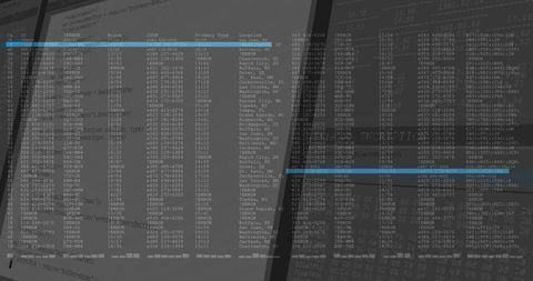 Dual monitors displaying terminal tabular data with blue highlight bars and grayscale dashboard