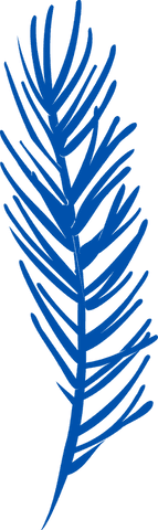 Transparent stylized blue palm frond illustration