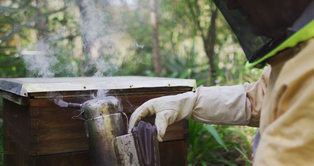 Beekeeper wearing protective gear using smoker to calm bees at rustic beehive in forest environment. Useful for topics related to beekeeping, agriculture, natural environments, and wildlife documentation.