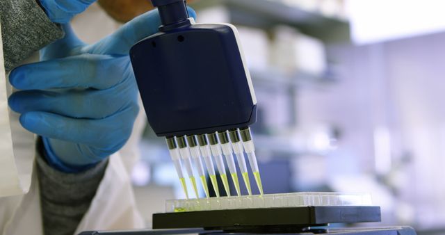 Gloved hands holding multi-channel pipette, systematically transferring liquid samples into a tray in research lab. Useful for illustrating scientific research, experimental procedures, lab techniques, biotechnology innovations, and medical testing processes.