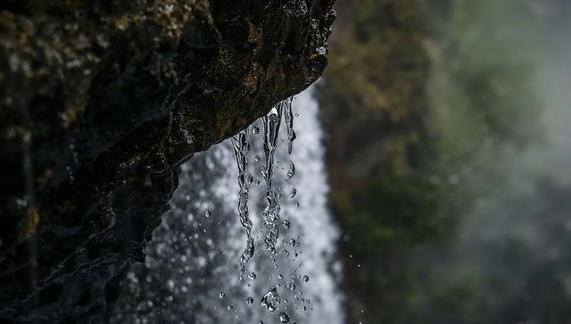 Macro mossy overhang drips capturing crystal water droplets into misty waterfall